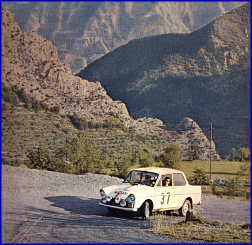 Daffodil in the Coupe des Alpes